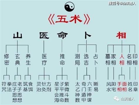 山醫命卜相|何謂五術？（山醫命相卜簡介）